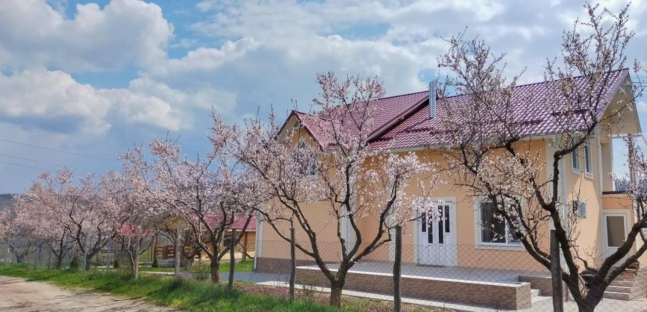 Conacul Mierii Villa Straseni Luaran gambar
