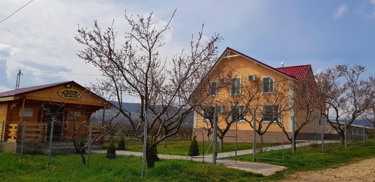 Conacul Mierii Villa Straseni Luaran gambar